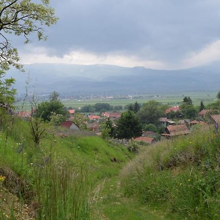 Birdsong Cottage - Peaceful Country Retreat Pauleni-Ciuc Exterior photo