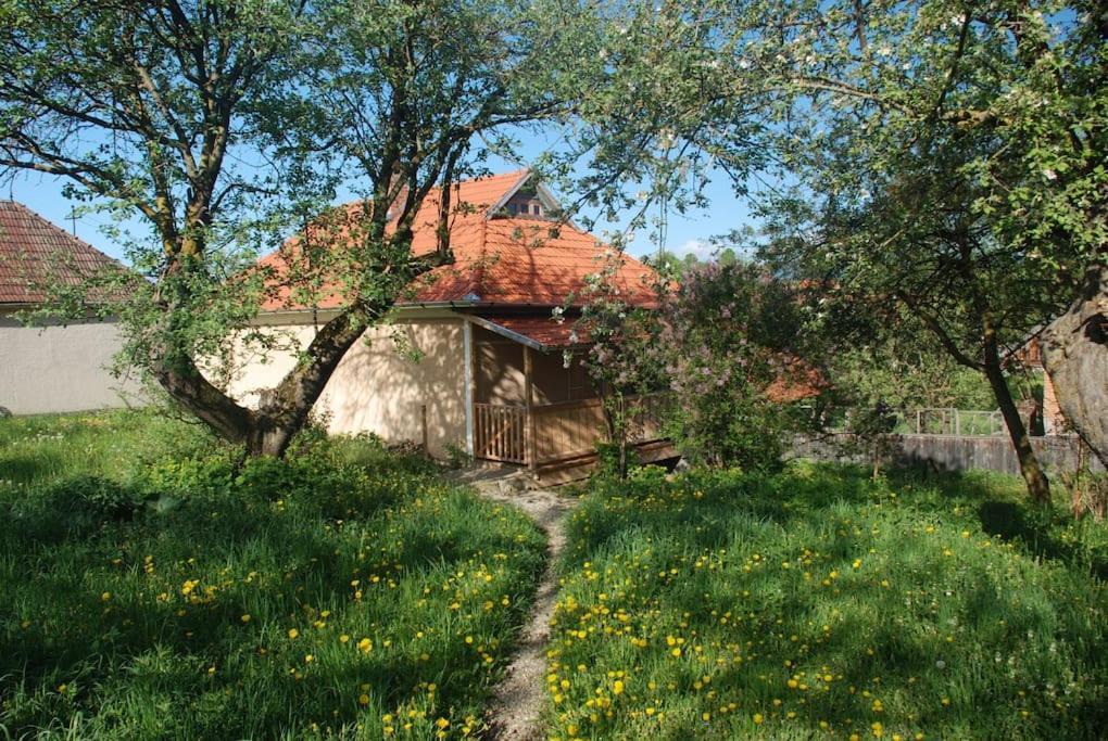 Birdsong Cottage - Peaceful Country Retreat Pauleni-Ciuc Exterior photo