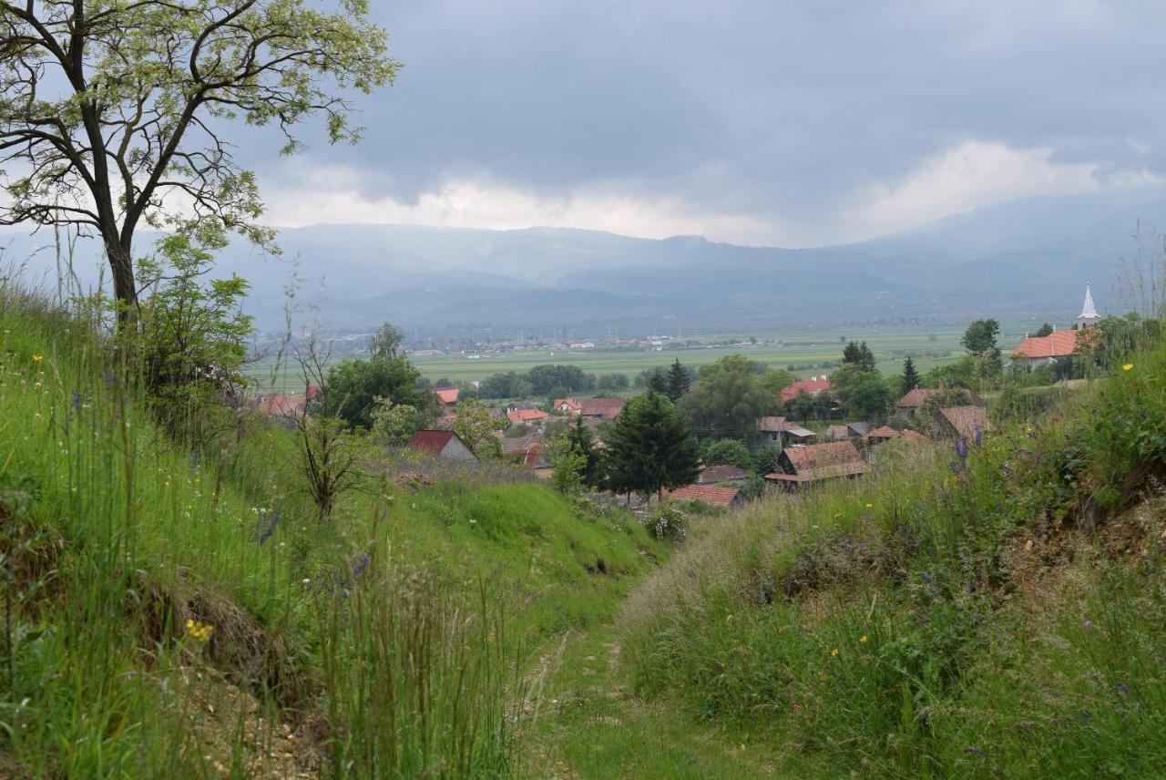 Birdsong Cottage - Peaceful Country Retreat Pauleni-Ciuc Exterior photo
